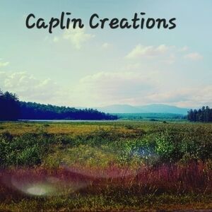 NEW Caplin Creations NH Moutains And Field Print 11×14 Glossy Poster Print